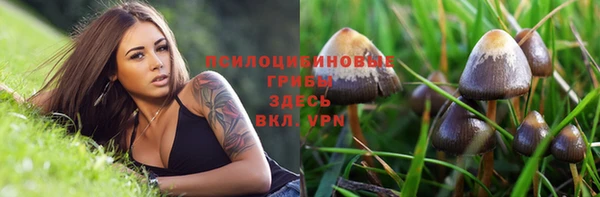дмт Алзамай