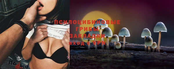 стаф Алексеевка