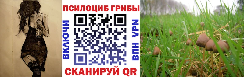 Галлюциногенные грибы Cubensis  Щучье 